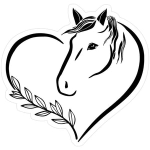 Support Our Sanctuary
